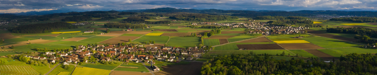 Primarschule Rickenbach